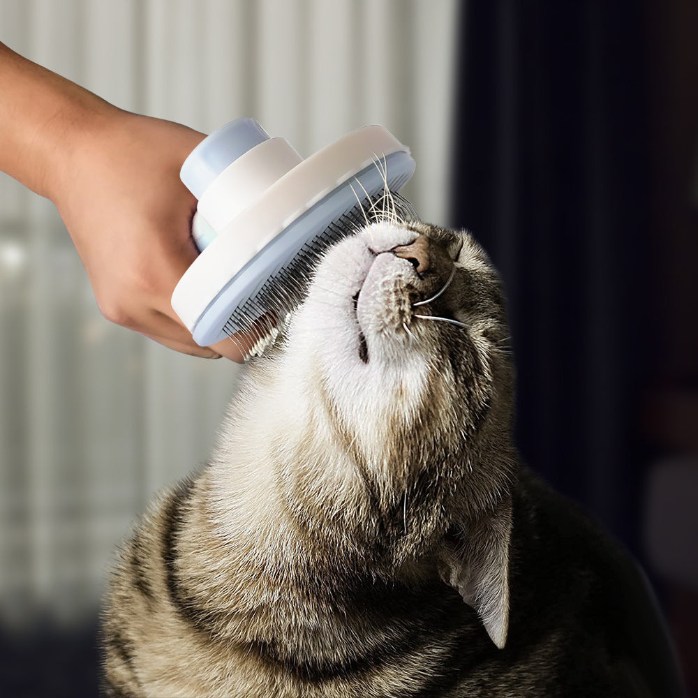 Pet Hair Remover Brush