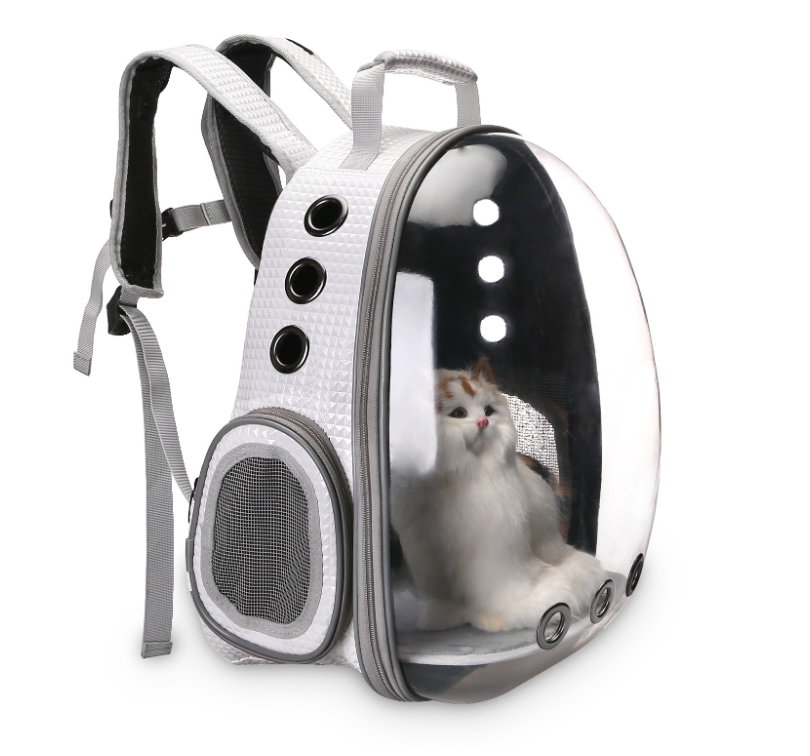 Pet Backpack