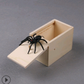 Spider Box Prank