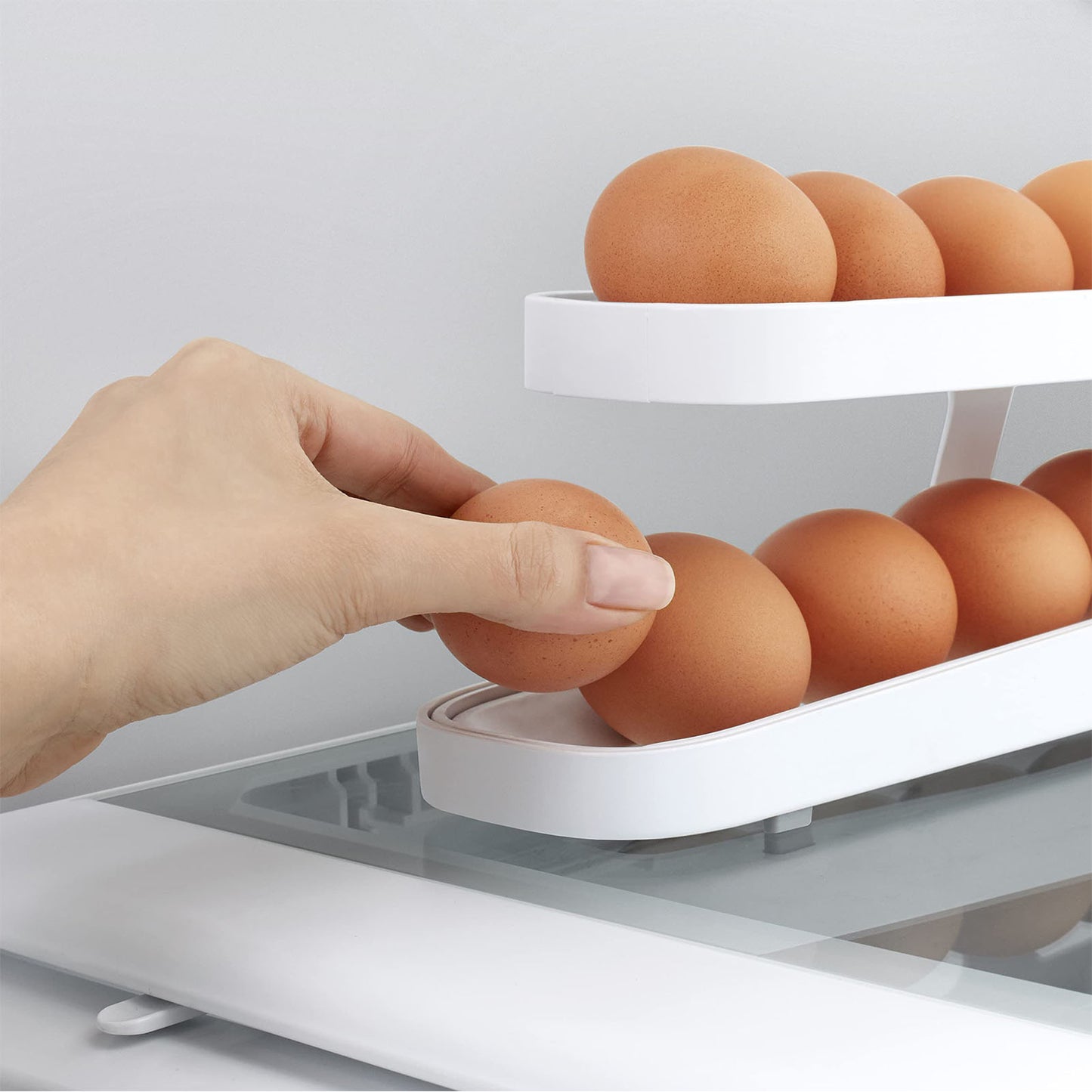 Egg Rack Holder