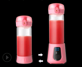 Mini electric portable juice